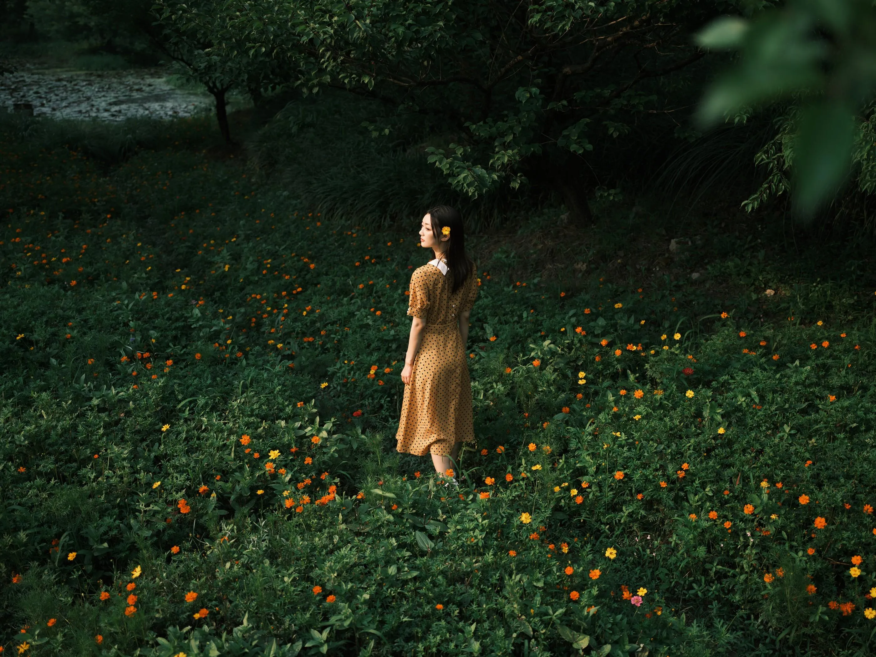 [YITUYU艺图语]2022.08.08 硫华菊柳叶马鞭草-是夏天的味道呀！ 飞鸟咕咕- [44P]插图8